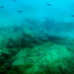 podvodnapodmornica1mal