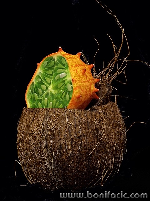 stilllife___Kiwano Di Cocco___