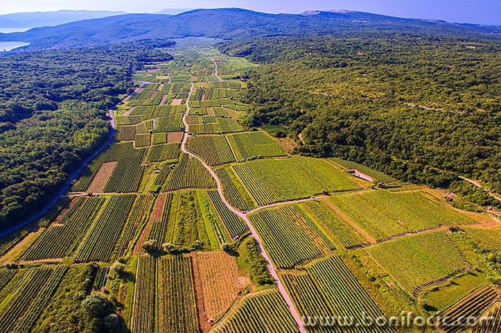 vrbanskopolje8mal
