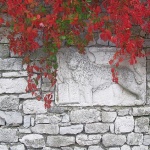 stilllife___Lion___Osor, Croatia.