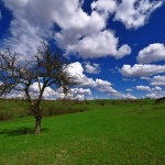 stilllife___Meteorologyst___Kordun, Croatia.
