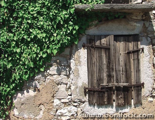 stilllife___Outside Curtain___Rasopasno, Croatia.