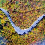 panpplitvicejesen2mal