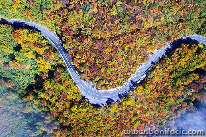 panpplitvicejesen2mal