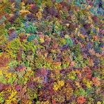 sumajesenvelebit12mal