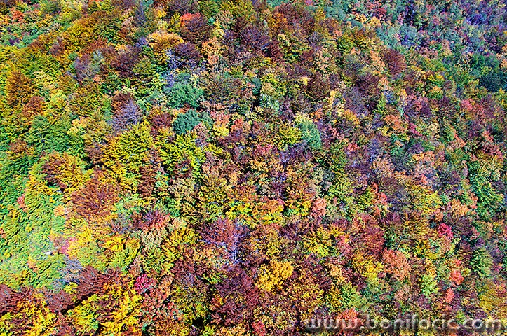 sumajesenvelebit12mal