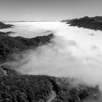 sumavelebitjesen17BWmal