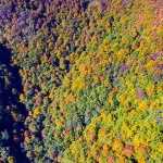 velebitjesensuma11mal