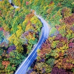 velebitsumajesen8mal