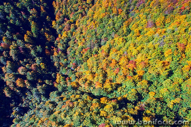 sumavelebitjesen1mal