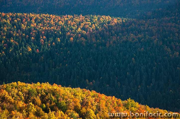 krasnojesensuma6mal