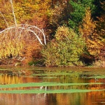 mrzlavodicajesen4mal