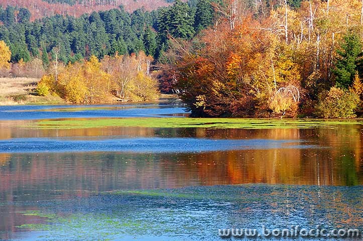 mrzlavodicajesen3mal