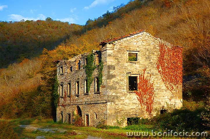 istrakuca1mal