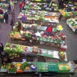 larlovactrznicapano2mal