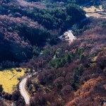 diviskadragabascanskacesta1mal