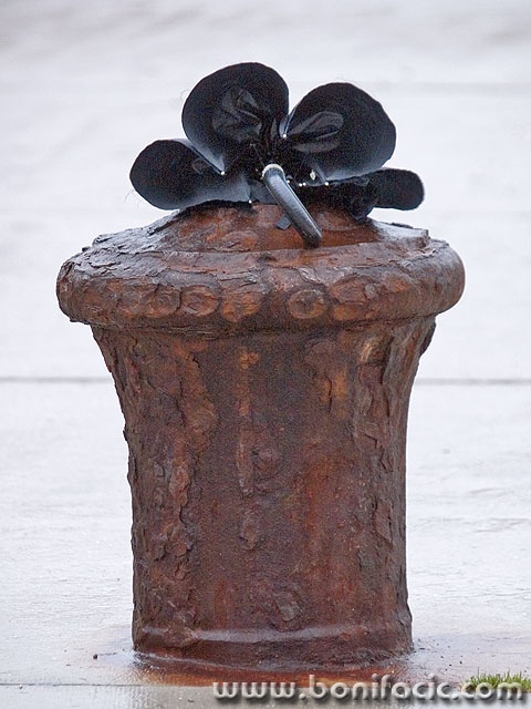 stilllife___Rainy Day___Baska, Croatia.