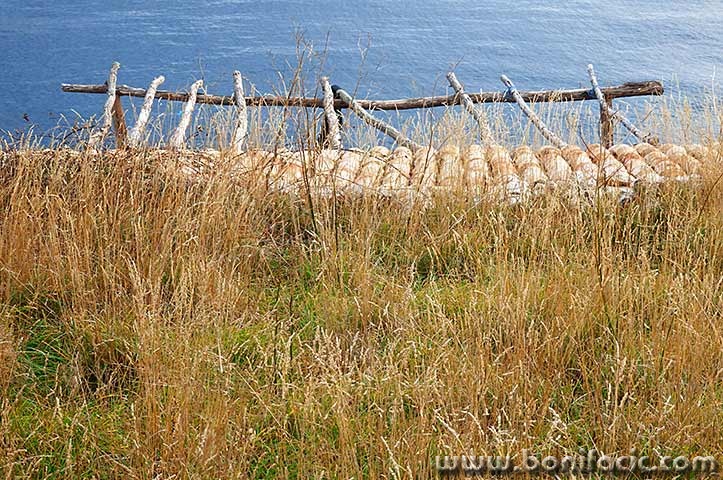 vrbnik2mal