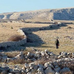 divuska10pastirmodmal