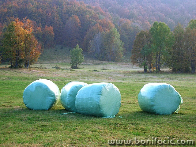 stilllife___Reserve___Begovo Razdolje, Croatia.