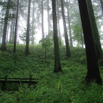 stilllife___Settee___Skrad, Croatia.