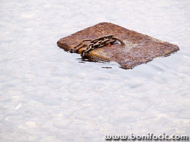 stilllife___Rooted___Punat, Croatia.