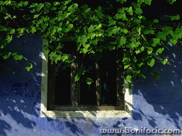stilllife___Shade___Gomirje, Croatia.