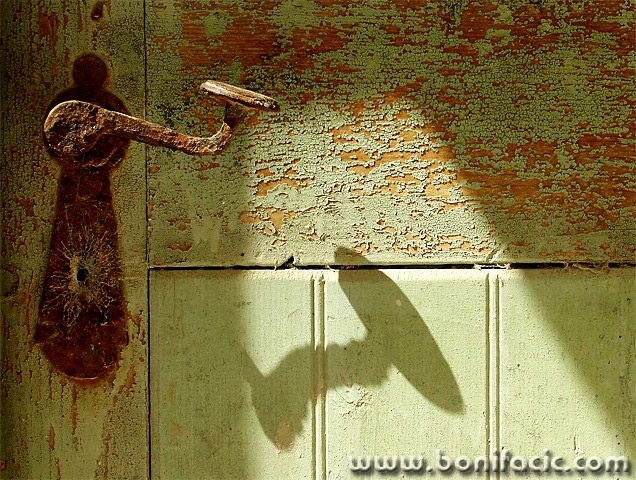 stilllife___Shadow___