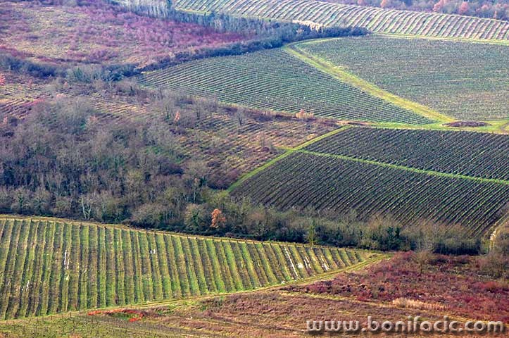 motovun109mal