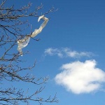 oblakstablonajlon1mal