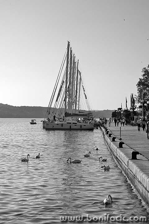 lumixsibenik25BWmal