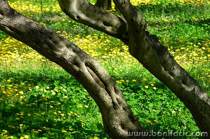 lumixmaslacak7mal