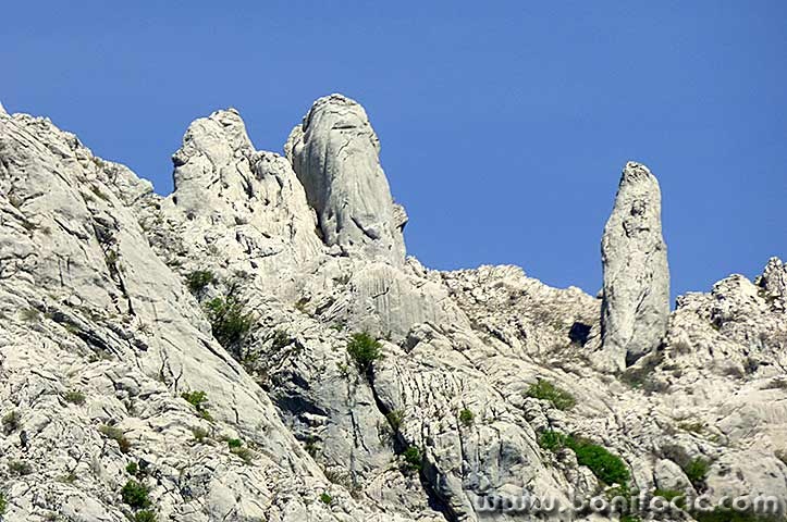 lumixsvetirok2mal