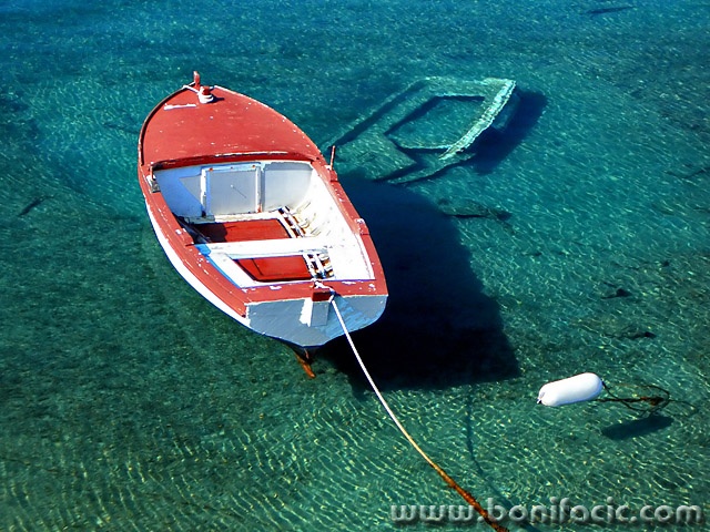 stilllife___Spring Rejection___Sveti Marak, Croatia.