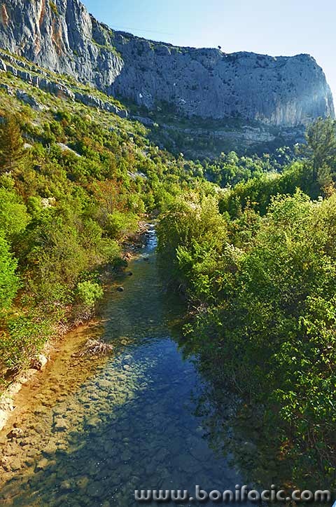 lumixcikola2mal