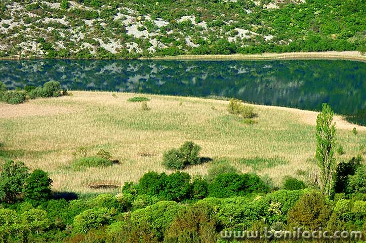 lumixkrka8mal