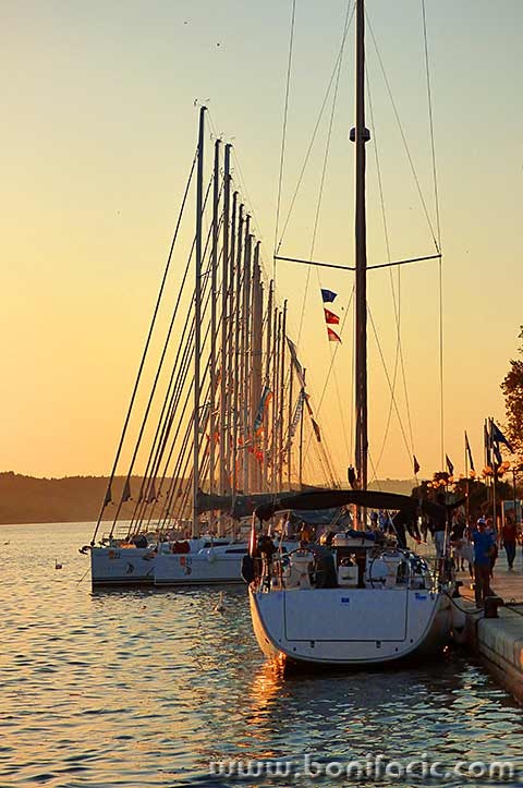 lumixsubenik31mal