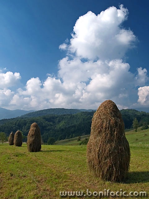 stilllife___Stacks Online___Ljubosina, Croatia.