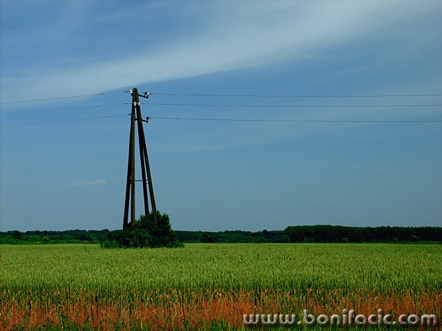 stilllife___Stud___Baranja, Croatia.