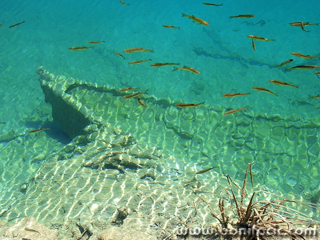 stilllife___Subaquatic Fishing___National Park Plitvice, Croatia.