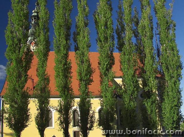 stilllife___Support___Samobor, Croatia.