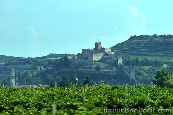 soave9mal
