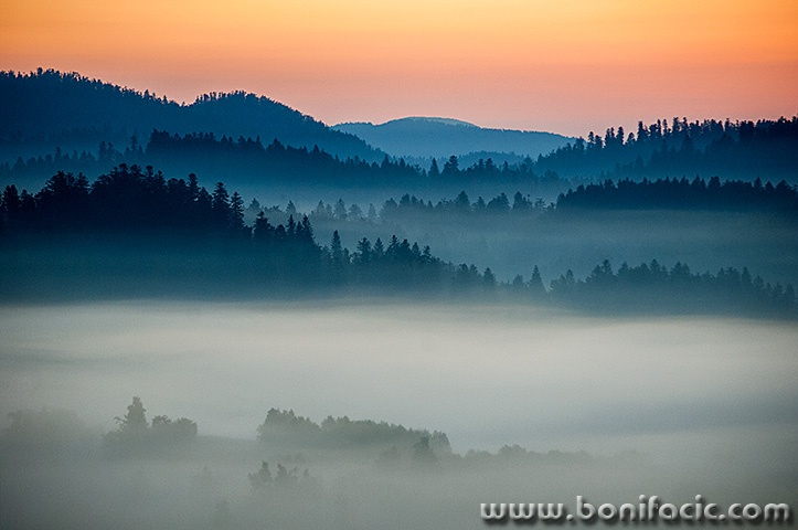 gorskikotarmaglica8mal