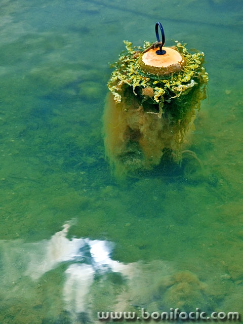 stilllife___Turfy___Soline, Croatia.