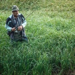 ribartravamrzlavodica1mal