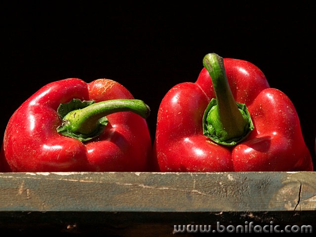 stilllife___Twisted Sisters___Kriznica, Croatia.