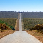 knezevivinogradi1mal