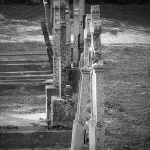 grobljebaranja1bwmal