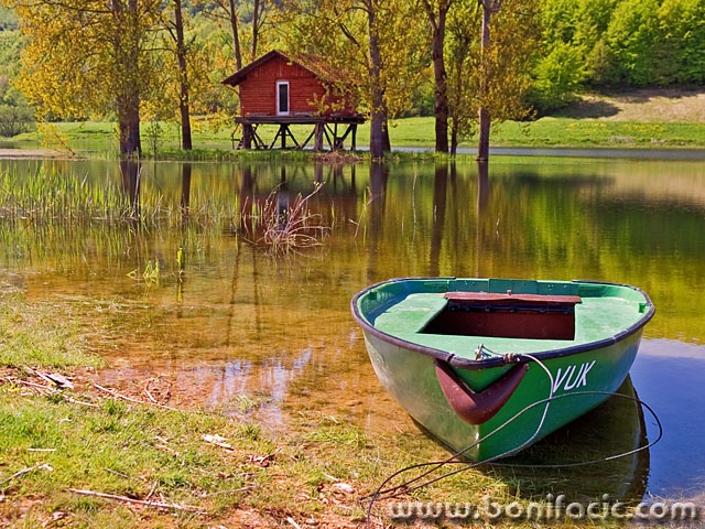 stilllife___Vuk___Svica, Croatia.