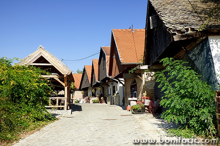 zmajevac4mal